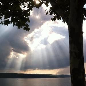 Meet your Posher, Janet